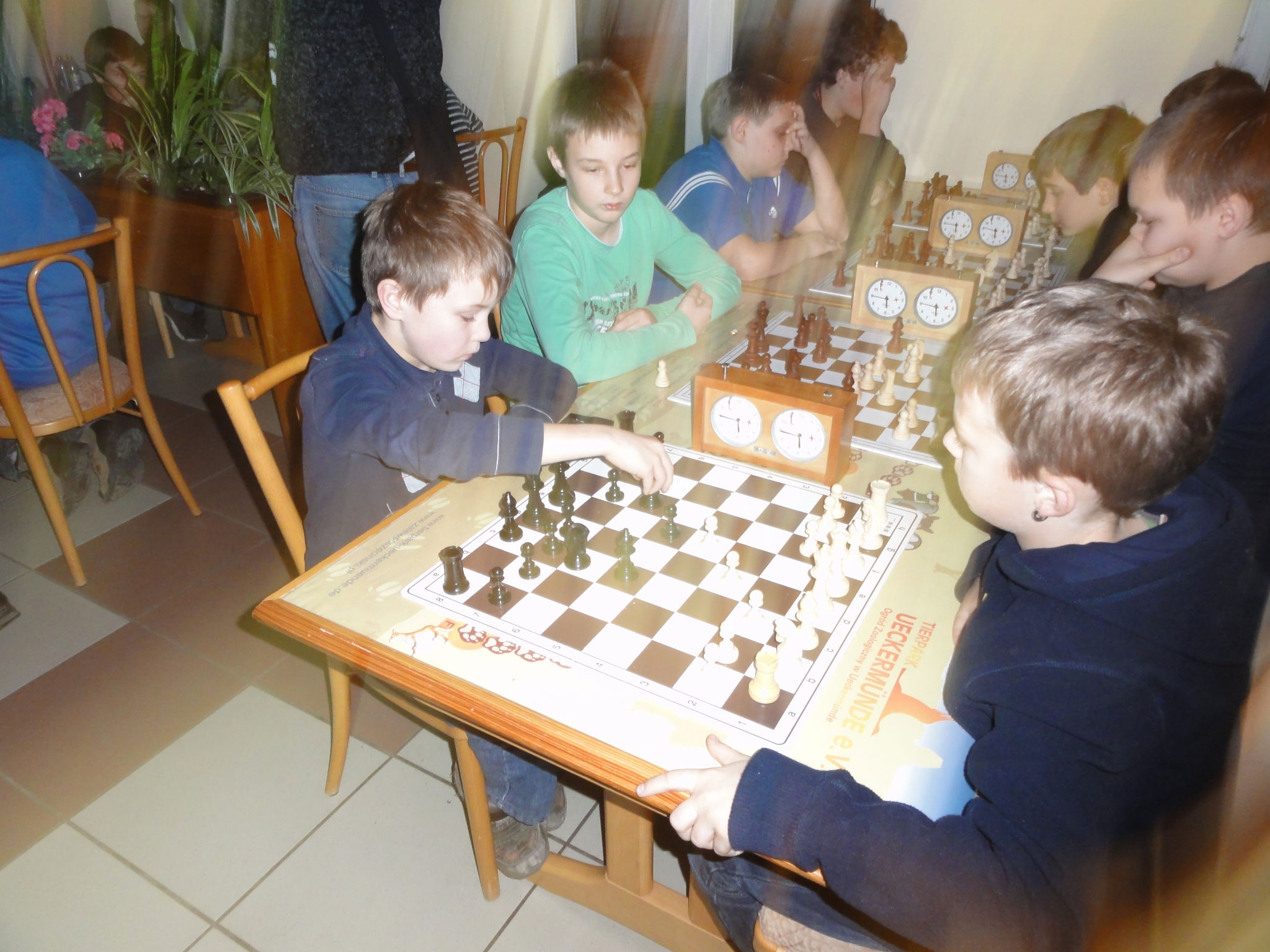 Vorschau